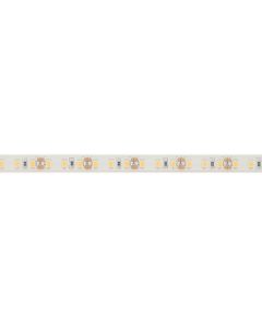 FLEXIBELE LEDSTRIP - WIT 3000K - 120 LEDs/m - 5 m - 12 V - IP68 - CRI90